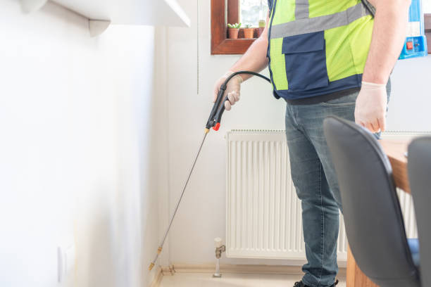 Best Wasp Removal Services  in Dayton, VA