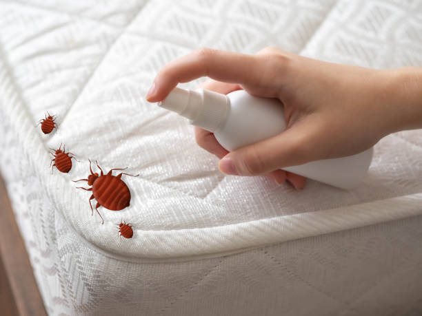 Best Pest Control for Businesses  in Dayton, VA